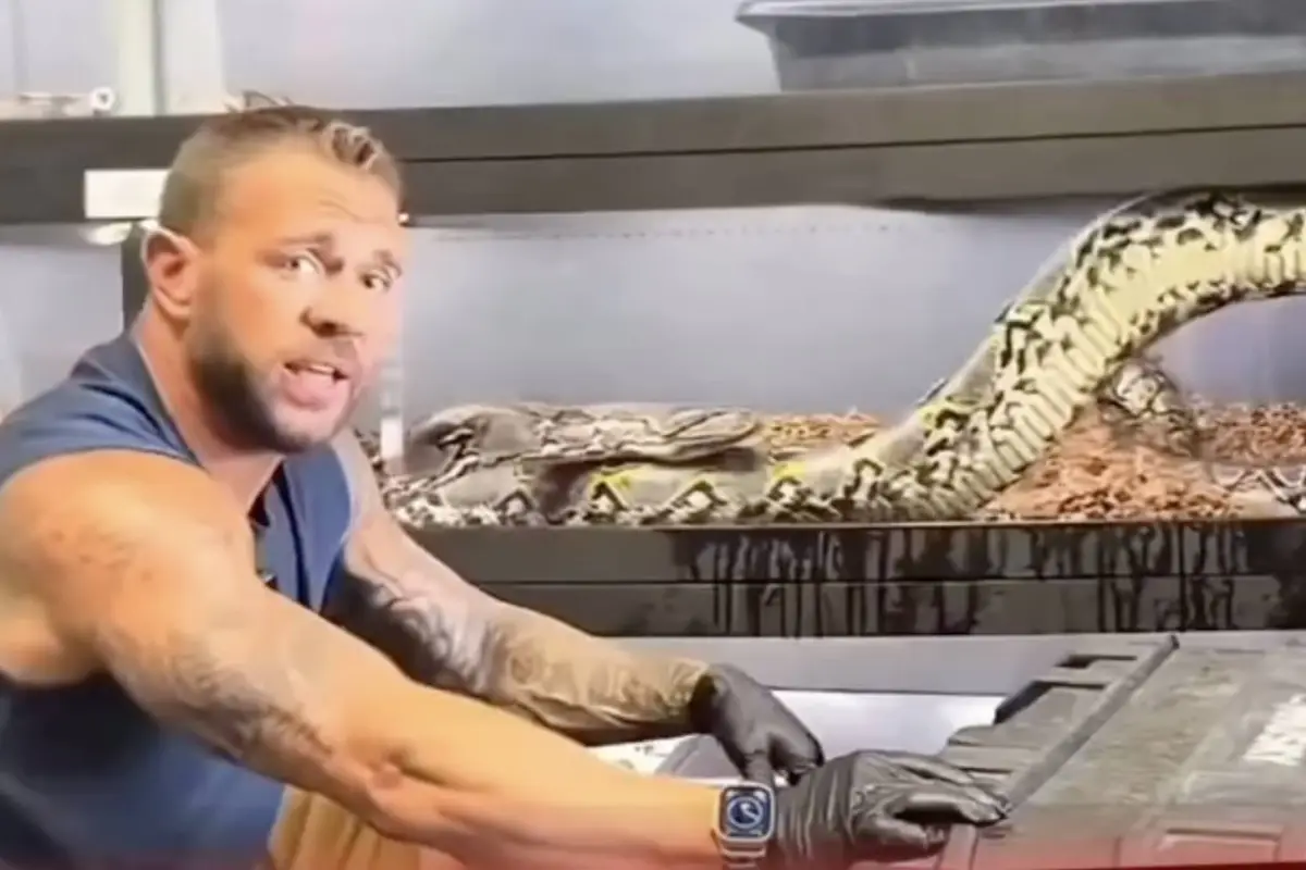 Serpiente, Screnshot