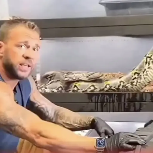 Serpiente ,Screnshot