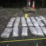 La droga decomisada en el operativo en Jutiapa. ,PNC