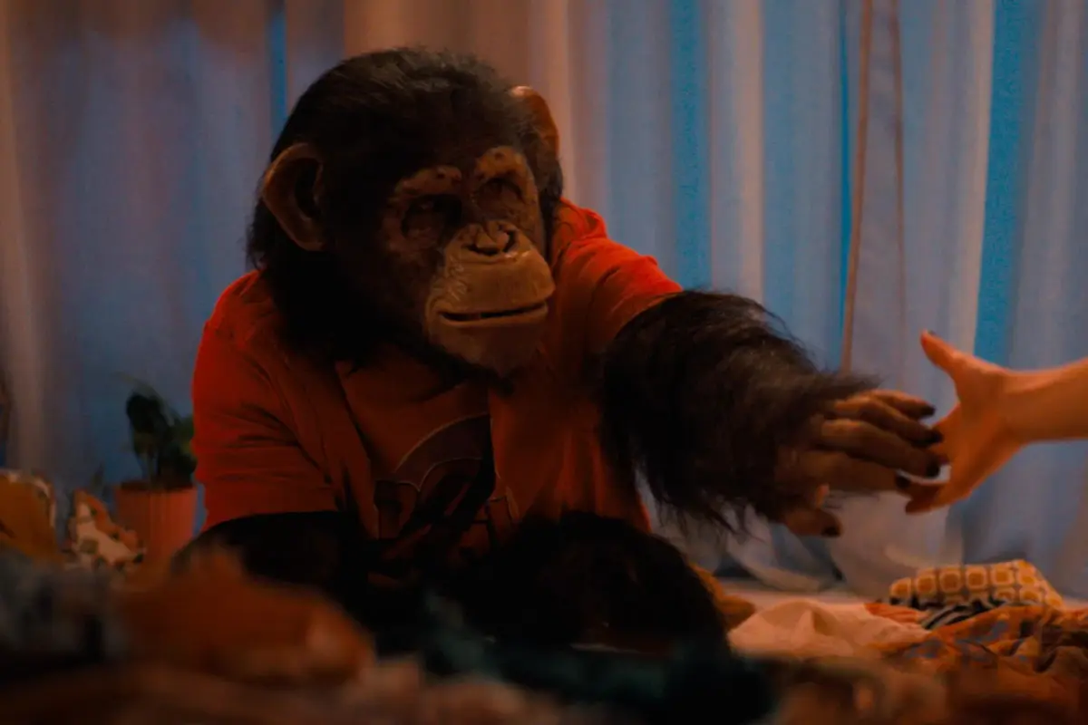 Primate, Redes sociales