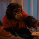 Primate ,Redes sociales