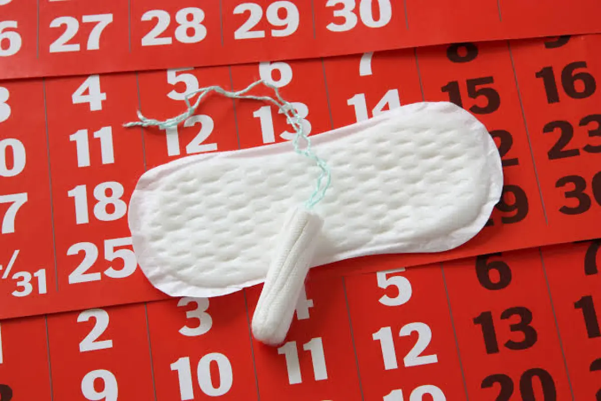 Menstruación, Menstruación