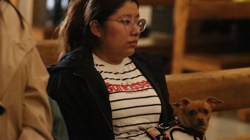 Instan a adoptar mascotas de forma responsable en el Día de San Francisco de Asís | Alex Meoño