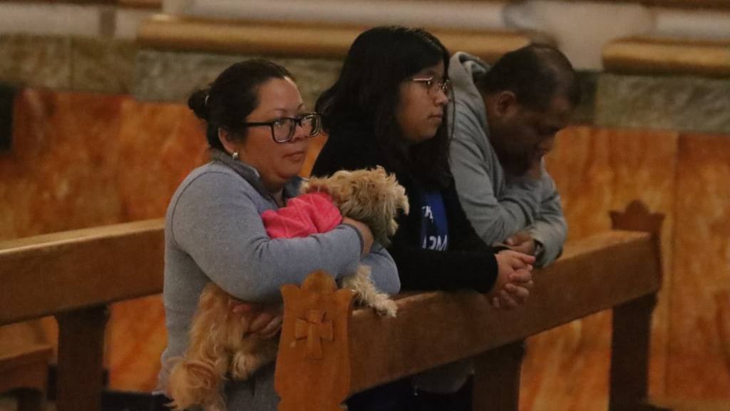 Instan a adoptar mascotas de forma responsable en el Día de San Francisco de Asís | Alex Meoño