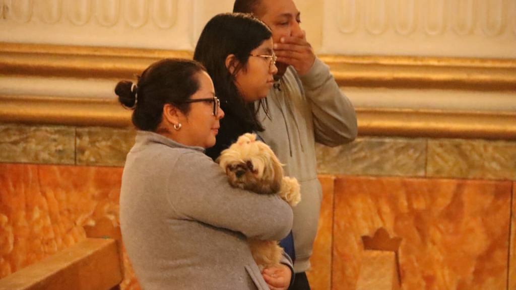Instan a adoptar mascotas de forma responsable en el Día de San Francisco de Asís | Alex Meoño