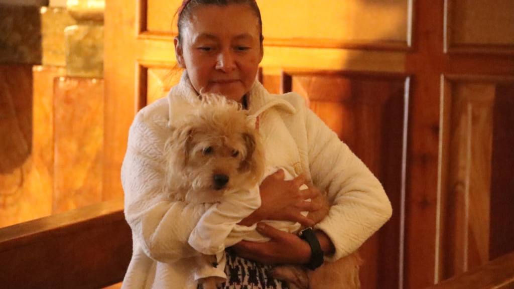 Instan a adoptar mascotas de forma responsable en el Día de San Francisco de Asís | Alex Meoño