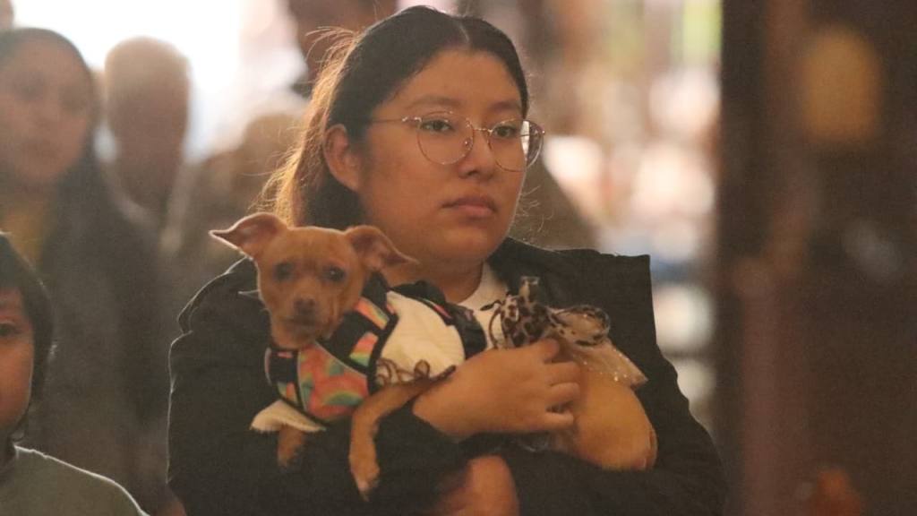 Instan a adoptar mascotas de forma responsable en el Día de San Francisco de Asís | Alex Meoño
