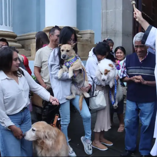 El padre Fray Isidoro Mejía Hernández impartió la bendición a los feligreses y sus mascotas.  ,Alex Meoño 