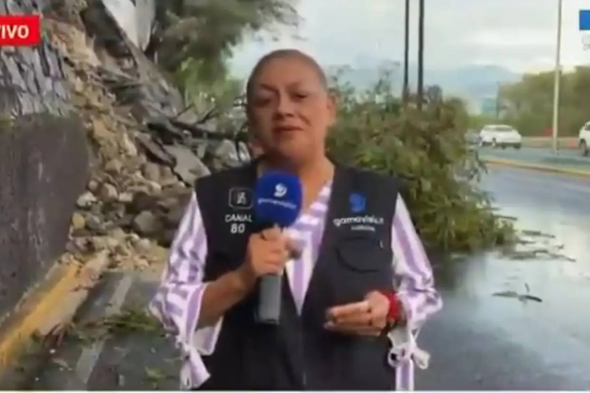 Reportera atropellada durante enlace en vivo, Captura de video