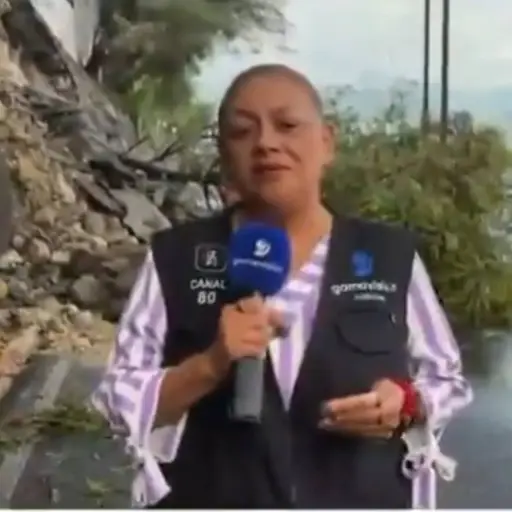 Reportera atropellada durante enlace en vivo ,Captura de video