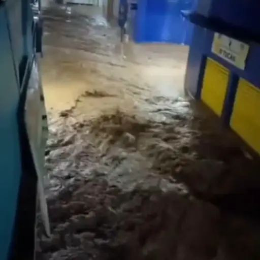 El agua superó el nivel de las calles e ingresó a varios inmuebles. ,Captura de pantalla.