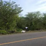 El cuerpo de la mujer fue encontrado a orillas de la carretera, en el cruce de Estanzuela, por el caserío puente Mármol. ,Bomberos Voluntarios