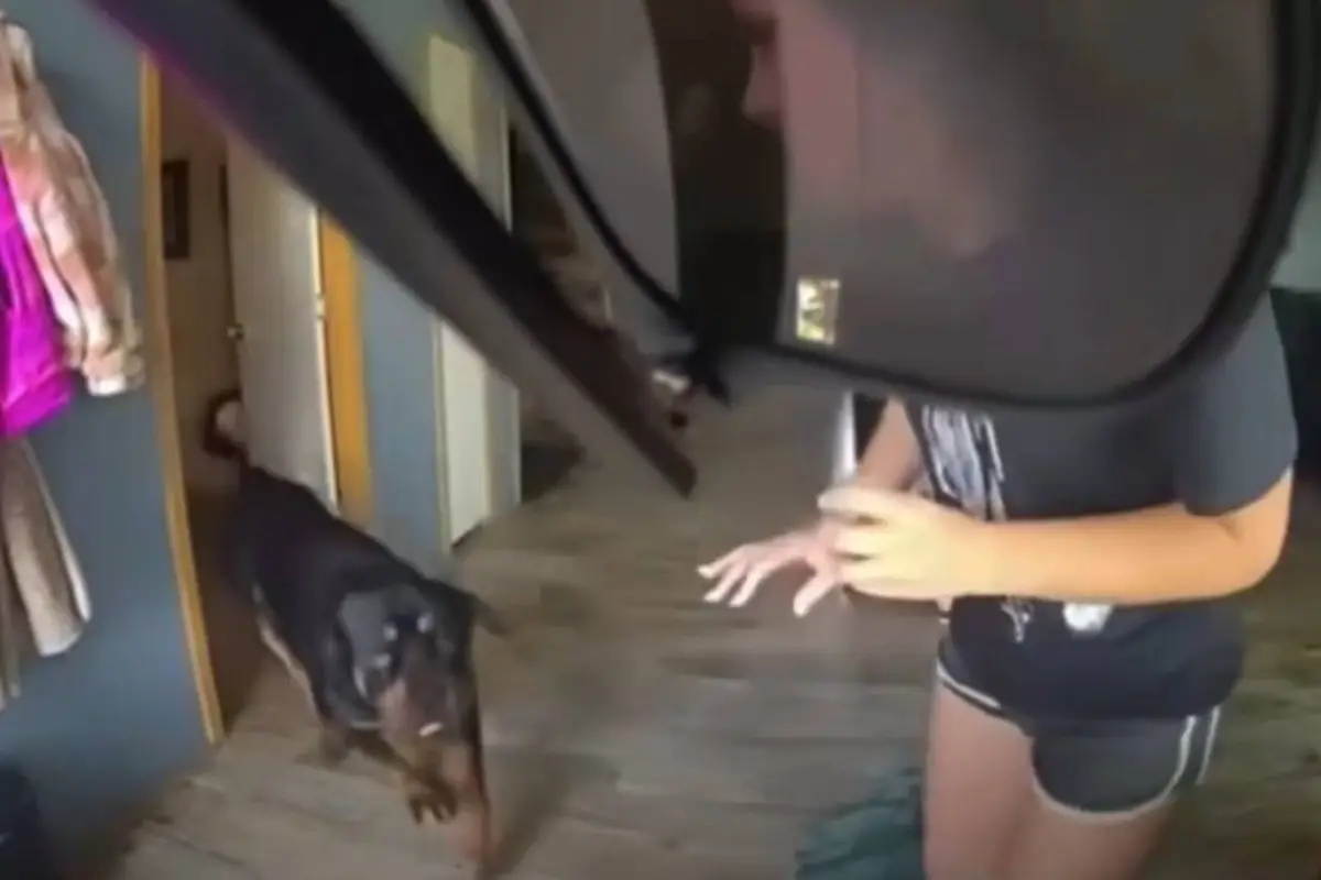 Policía mata a perros enfrente de niños., Captura de video