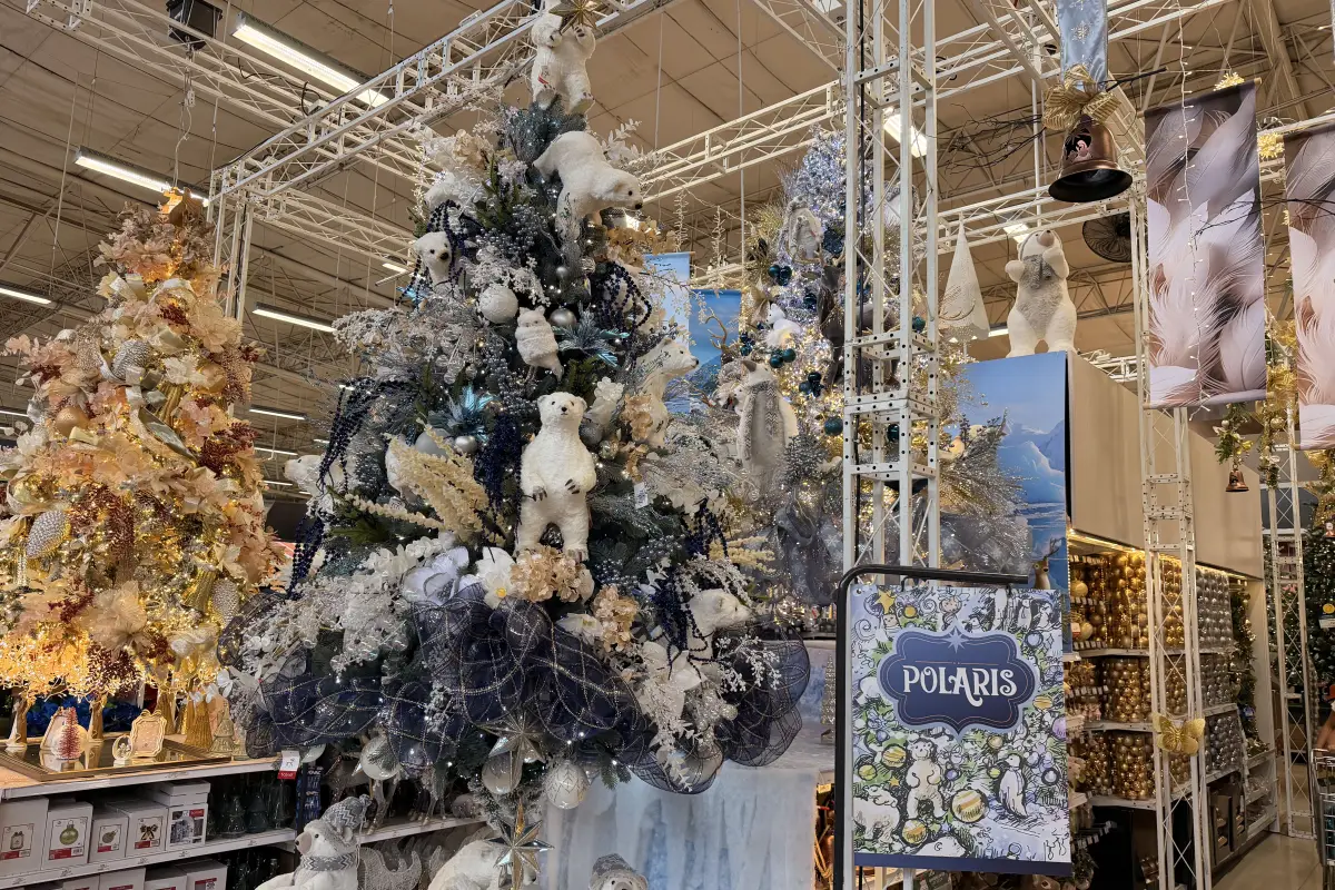 Navidad, Navidad