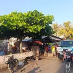 El ataque armado ocurrió dentro de una vivienda, indicaron los cuerpos de rescate. ,Bomberos Municipales Departamentales. 