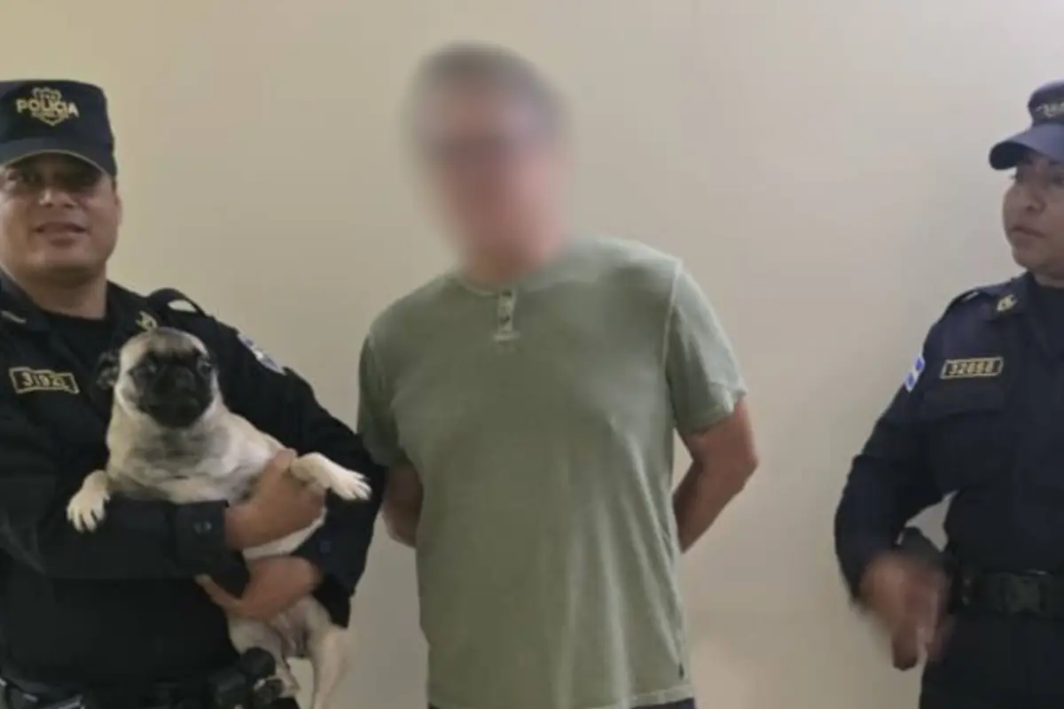 Detienen a exfutbolista salvadoreño por colgar a un perro pug desde la ventana de un apartamento., Redes sociales. 