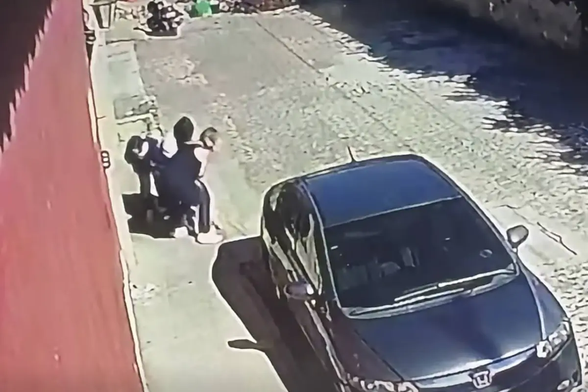Cámara de seguridad capta forcejeo por Bruno, un Golden Retriever destinado a ser perro de servicio., Captura de pantalla video de X.