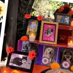 Zoológico la Aurora ,Redes sociales
