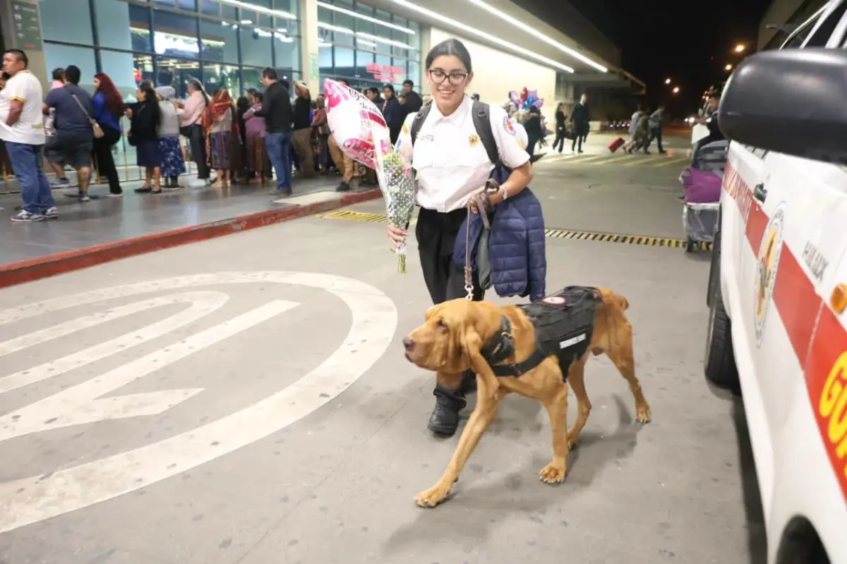 Bomberos Voluntarios recibieron a la rescatista, Katia Olivares, y al agente canino, Sam, en el Aeropuerto Internacional La Aurora., Bomberos Voluntarios.