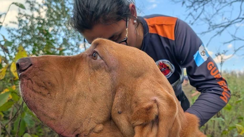 Rescatista Katia Oliveros y Sam reciben certificación en EE. UU. | Bomberos Voluntarios