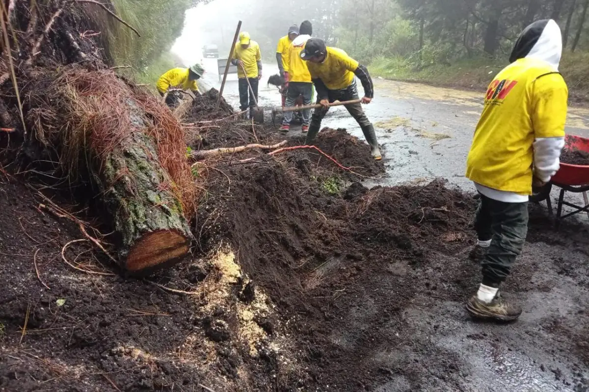 Trabajadores de Covial han atendido derrumbes, caías de árboles y deslizamientos, entre otros., Covial.