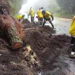 Trabajadores de Covial han atendido derrumbes, caías de árboles y deslizamientos, entre otros. ,Covial.