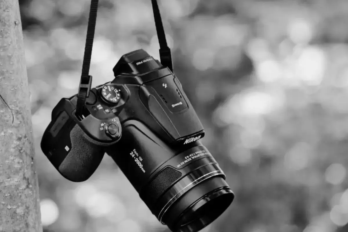 El informe recordó dos asesinatos recientes en contra de periodistas. Imagen con fines ilustrativos., Pixabay