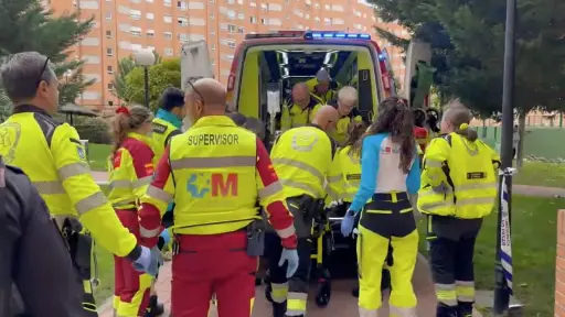 La mujer fue trasladada en estado crítico al Hospital \