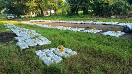 Decomisan 880 bolsas de marihuana en Escuintla
